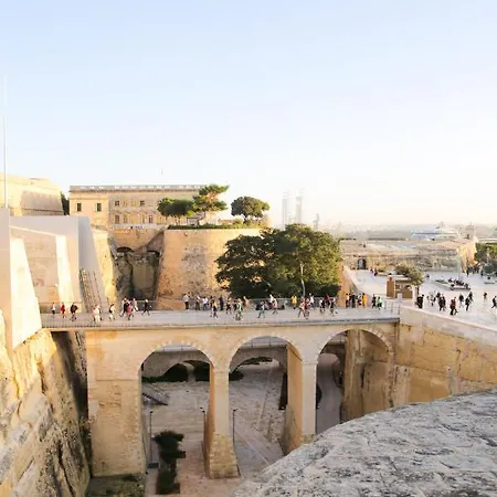 Triton * バレッタ